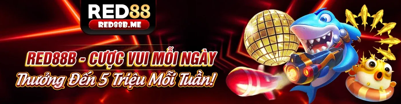 Email hỗ trợ